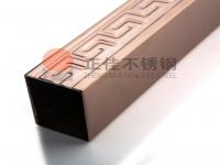 304彩色乐鱼在线登录_乐鱼(中国)管逐渐成为家装的新宠，势头迅猛